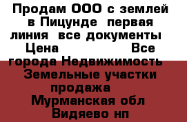 Продам ООО с землей в Пицунде, первая линия, все документы › Цена ­ 9 000 000 - Все города Недвижимость » Земельные участки продажа   . Мурманская обл.,Видяево нп